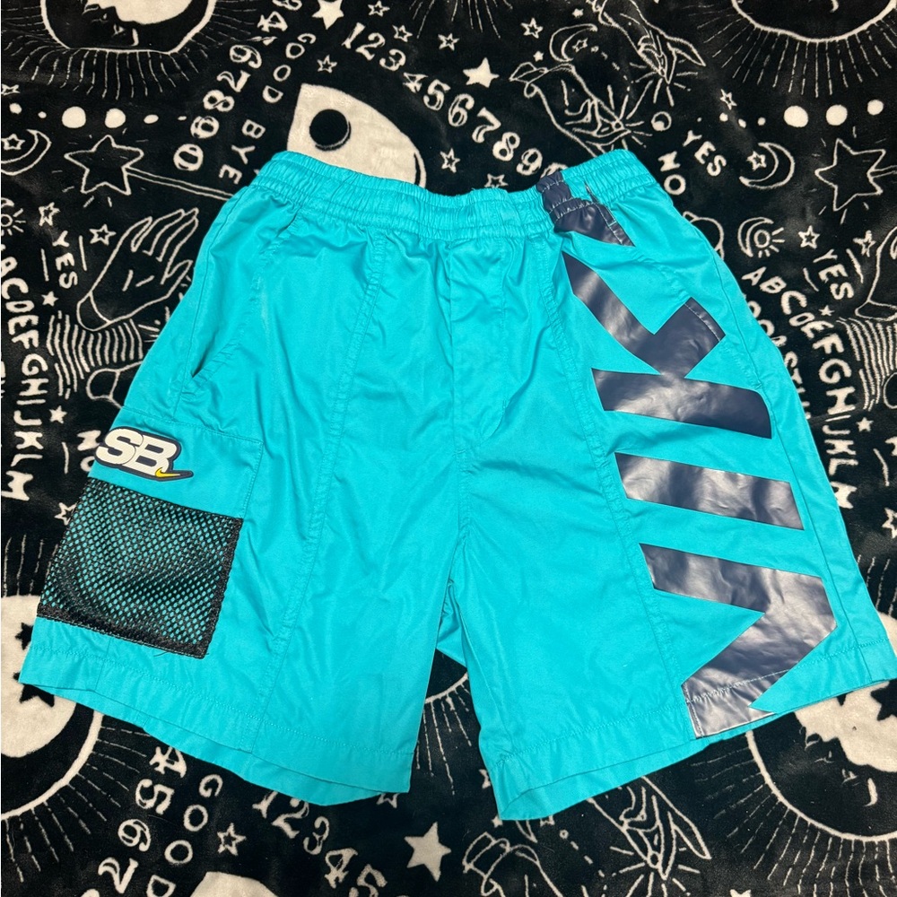 Nike Men's Teal Athletic Shorts
